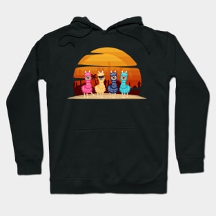 Alpaca Vintage Crew Colourful Hoodie